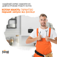 Ferroli DIVATOP D F24 M (EX) традиційний газовий котел турбований Київ