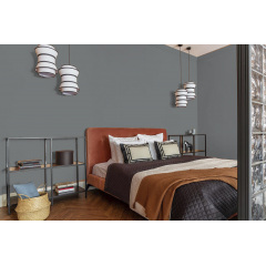 Фарба інтер'єрна латексна Skyline RAL 7012 Графітовий Шторм 5 л (2829439723) Київ