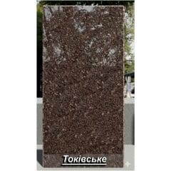 Гранітна плитка Токівська полірована червона Вознесенськ