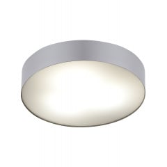 Потолочный светильник Nowodvorski 10182 ARENA SILVER PL Лосинівка