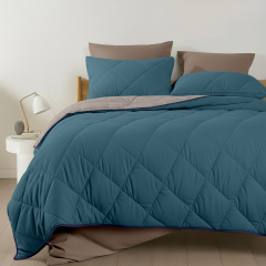 Покривало стьобане двостороннє COSAS TAUPE STONE CS4 150x220 см Бежево-блакитний Київ