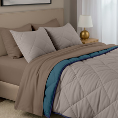 Покривало стьобане двостороннє COSAS TAUPE STONE CS4 210x240 см Бежево-блакитний Київ