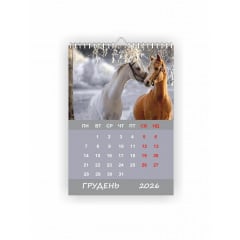 Календарь настенный Vivay 2026 Год лошади А4 30x20 см Разноцветный (hub_ci0812) Киев