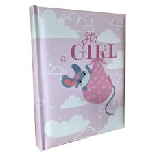 Фотоальбом EVG 20sheet S29x32 Its Girl Разноцветный (6972908)