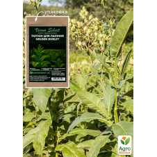 Насіння Тютюн курильний Golden Burley ТМ Vesna Select 0.5г