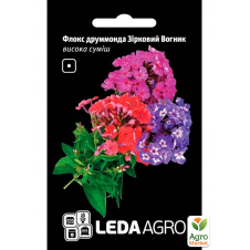 Флокс Зірковий вогник ТМ Leda Agro 0,2г