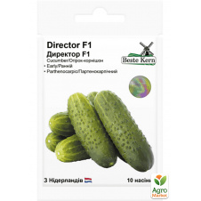 Огурец Директор F1 ТМ Beste Kern 10шт