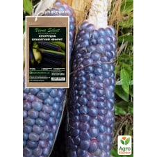 Кукурудза Блакитний нефрит ТМ Vesna Select 10шт