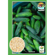 Огірок Регіна F1 ТМ Весна 0.25г