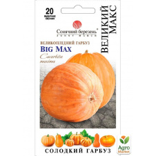 Тыква Большой Макс ТМ Солнечный март 20шт NEW