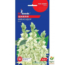 Сальвія Амбасадор ТМ GL SEEDS 0.2г