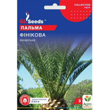 Пальма канарська Фінікова ТМ GL SEEDS 3шт
