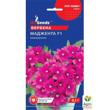 Вербена Маджента ТМ GL SEEDS 0.1г