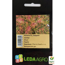 Колеус Колоча Скарлет ТМ Leda Agro 50шт