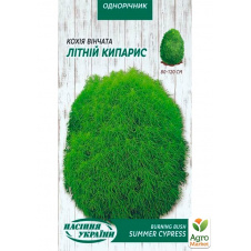 Кохія Літній кипарис ТМ Насіння України 0.5г