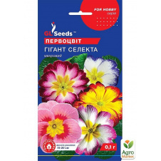 Примула Гигант селекта ТМ GL SEEDS 0.1г