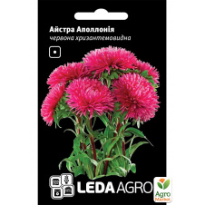 Астра Аполлонія червона ТМ Leda Agro 0,2г
