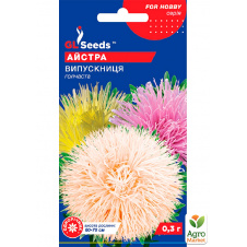 Астра Випускниця ТМ GL SEEDS1г