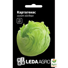 Салат айсберг Картагенас ТМ Leda Agro 10шт
