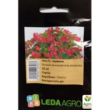 Бегония Фея F1 красная ТМ Leda Agro 50шт