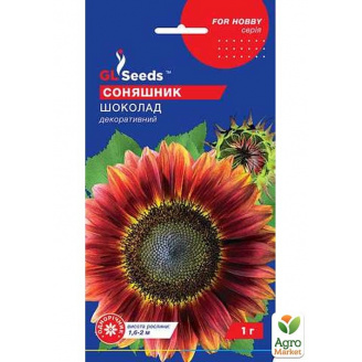 Подсолнечник Шоколад ТМ GL SEEDS 1г