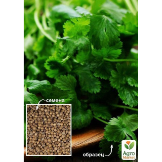 Кориандр Король рынка ТМ Весна 100г