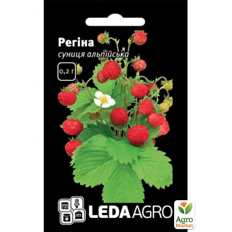 Суниця Регіна ТМ Leda Agro 0,2г