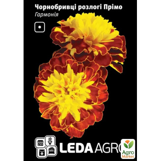 Бархатцы Гармония ТМ Leda Agro 0,2г