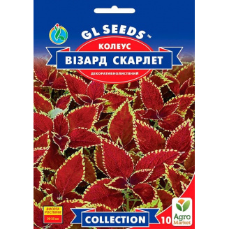 Колеус Визард Скарлет ТМ GL Seeds 10шт