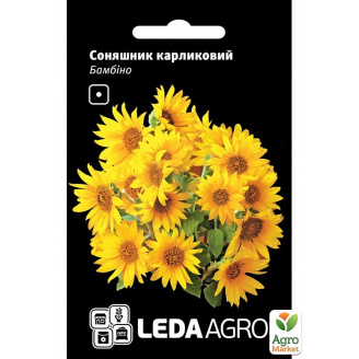 Соняшник карликовий Бамбіно ТМ Leda Agro 0,5г