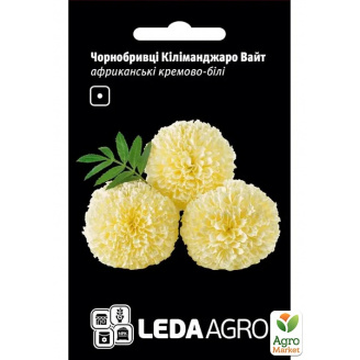 Бархатцы Килиманджаро вайт ТМ Leda Agro 0,2г