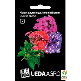 Флокс Звездный огонек ТМ Leda Agro 0,2г