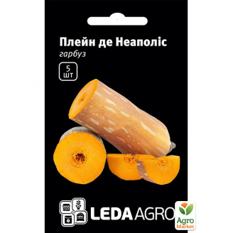 Тыква Плейн де Неаполис ТМ Leda Agro 5шт