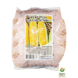 Кукурудза кормова КАДР ТМ Весна 1кг