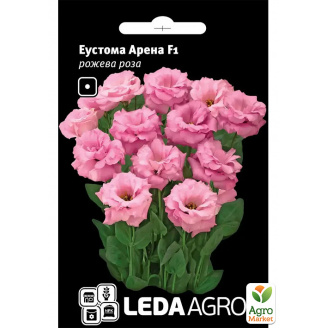 Эустома Арена F1, розовая ТМ Leda Agro 5шт