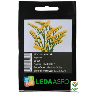Кермек (статиця) Хіпстер жовтий ТМ Leda Agro 50шт