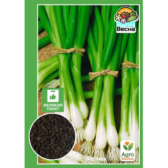 Цибуля Батун (Великий пакет) ТМ Весна 1,5г