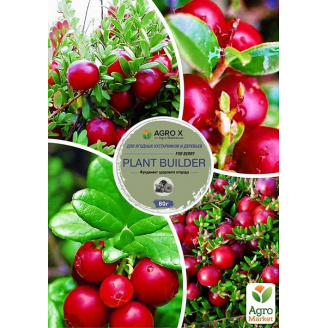 Журавлина, комплект з 4-х сортів Перлини саду (Pearls of the Garden) 4шт саджанців + найкраще добриво