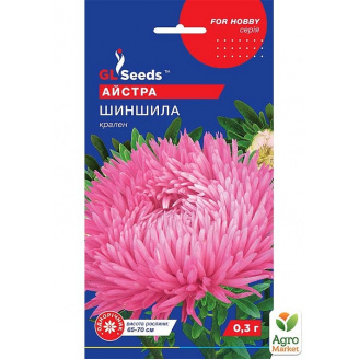 Астра Шиншилла ТМ GL SEEDS 0.3г