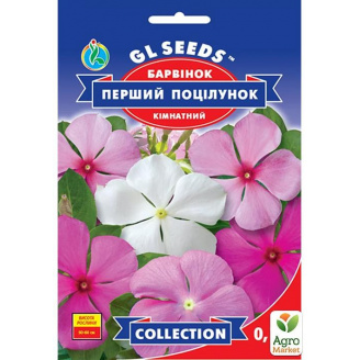 Барвинок Первый поцелуй ТМ GL SEEDS 0.1г