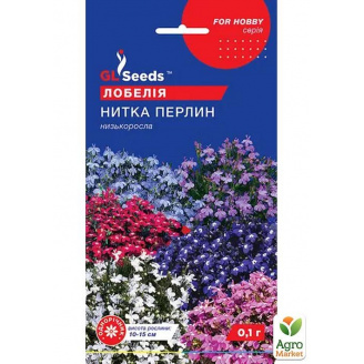 Лобелія Нитка перлів ТМ GL SEEDS 0.1г