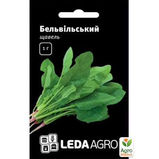 Щавель Бельвільський ТМ Leda Agro 1г