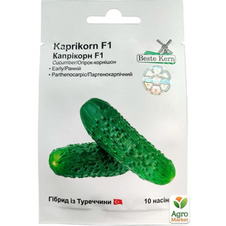 Огірок Капрікорн F1 ТМ Beste Kern 10шт