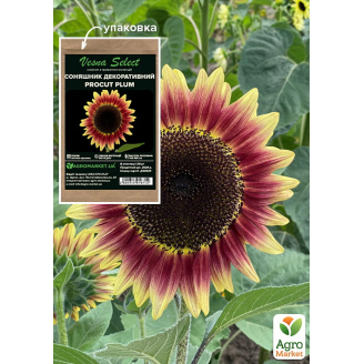 Подсолнечник декоративный Procut Plum ТМ Vesna Select 20шт