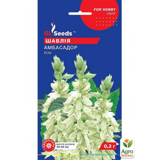 Сальвія Амбасадор ТМ GL SEEDS 0.2г