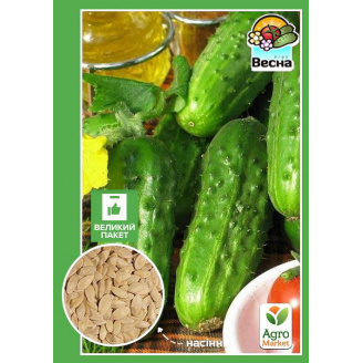 Огурец Кустовой (Большой пакет) ТМ Весна 2г