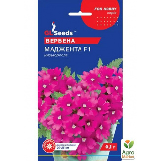 Вербена Маджента ТМ GL SEEDS 0.1г