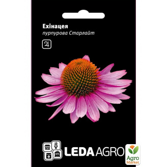 Эхинацея Старлайт ТМ Leda Agro 0,1г