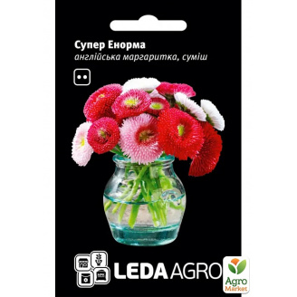Маргаритка Супер Енорма суміш ТМ Leda Agro 0,02г