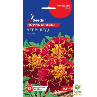 Чорнобривці Черрі Леді ТМ GL SEEDS 0.5г